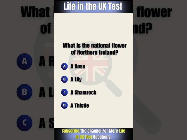 Life in The UK Test 2026 🇬🇧| #lifeinuktest2026 #ukilr  #lifeinuktest #lifeinuk #lifeintheuktest2026