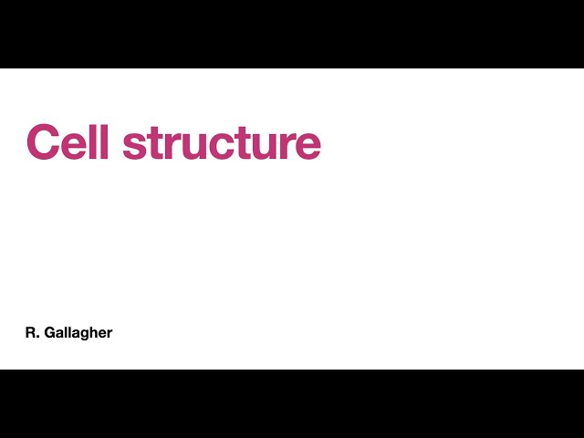Cell Structure and Diversity