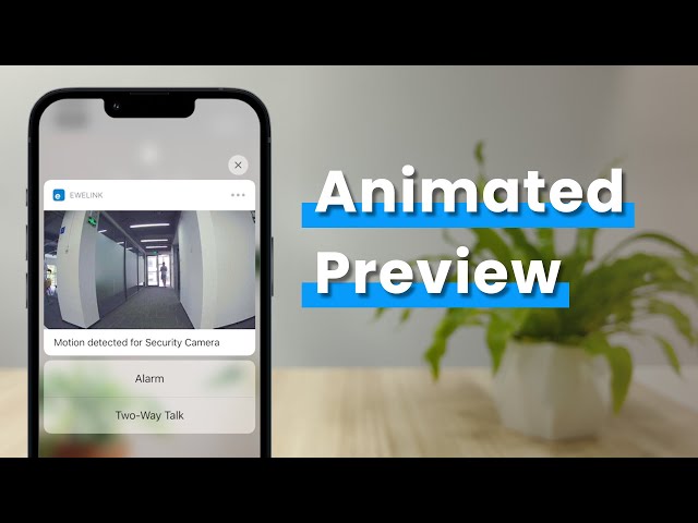 Discover: Animated Preview