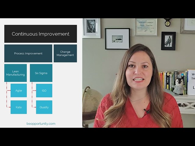 Different types of Continuous Improvement methodologies