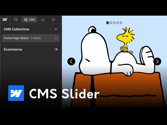 How to Build a CMS Slider in Webflow | Step-by-Step Tutorial