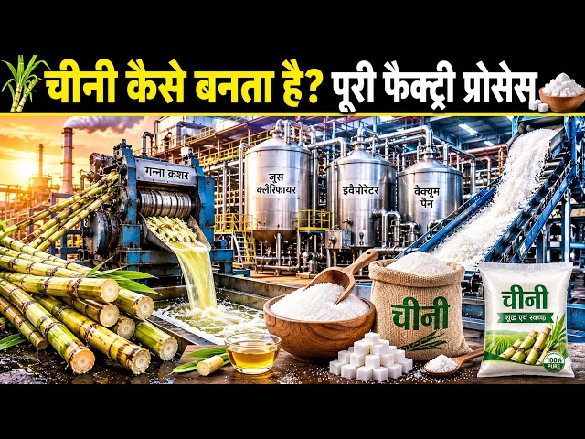 फैक्ट्री में चीनी कैसे बनती है? 😱 गन्ने से सफेद चीनी बनने का पूरा सफर!