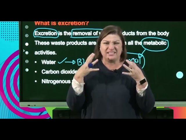 Life Sciences Grd 11 The Excretory System In Humans Revision S1