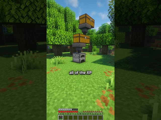 This Furnace Is Secretly an INFINITE XP BANK #FreshSMP #Minecraft #Lifesteal #MinecraftTips #Server