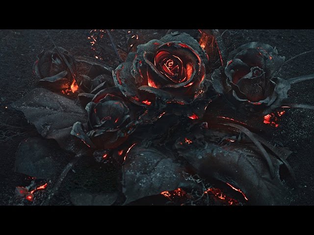Future - EVOL