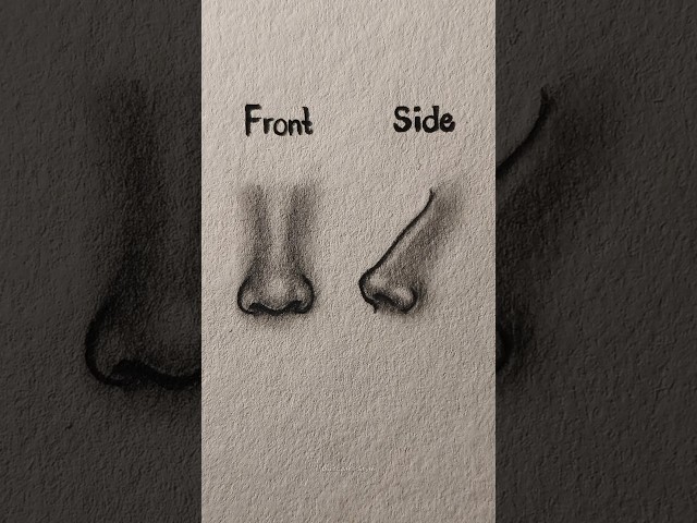 How to draw Nose Front&Side Tutorial ✏️ #drawing #tutorial #howtodraw #nose #art #sketch