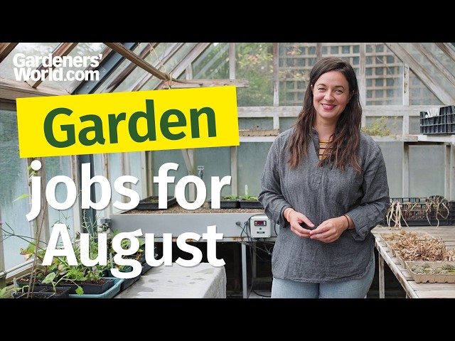 Do these August gardening tasks before it’s TOO LATE