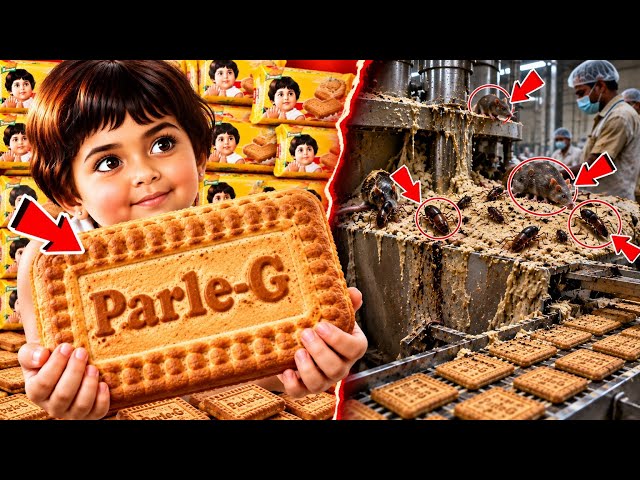 Parle-G आखिर बनता किस चीज़ से है | जानिए पूरी सच्चाई
