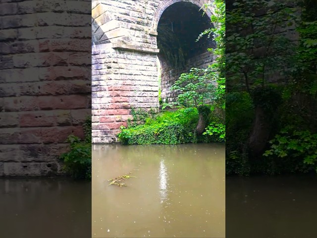 Moody Rain Walk Under Mollington Viaduct 🌧️🚂 | ASMR #shorts