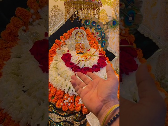 🌸 बाबा श्याम सबकी मनोकामना पूरी करें 🙏!!