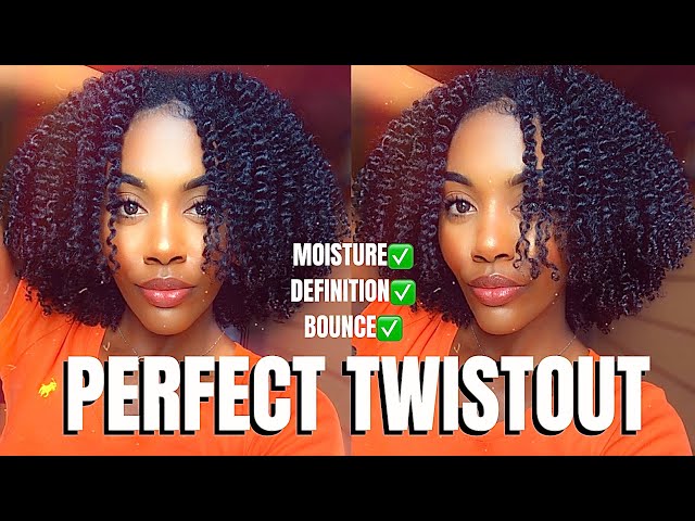 PERFECT TWISTOUT COMBO - Moisturized, Defined, and BOUNCY! Let me help you..Twistout 101 Series Pt 6