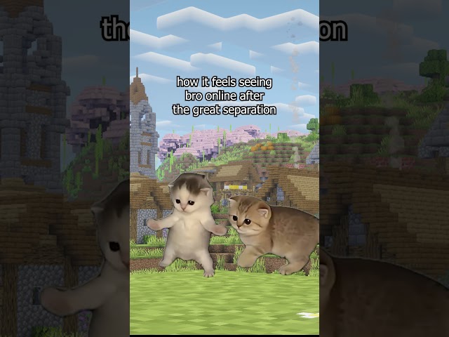 send this to bro πͺ #minecraft #minecraftmeme
