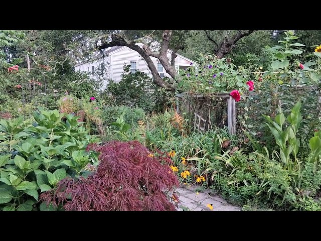 The Astrology of September 2, 2026: Be gentle with one another...