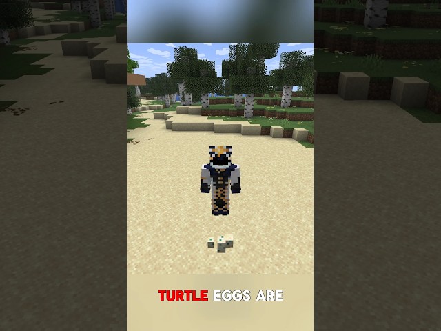 Turtle Eggs Are Stronger Than You Think