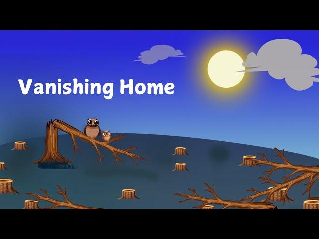 Vanishing home. 🪺 🌳  #savetrees #stopdeforestation