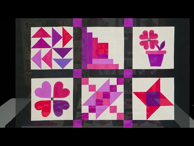 Beginner Patchwork Sampler Quilt Series with Sallieann Harrison - Promo