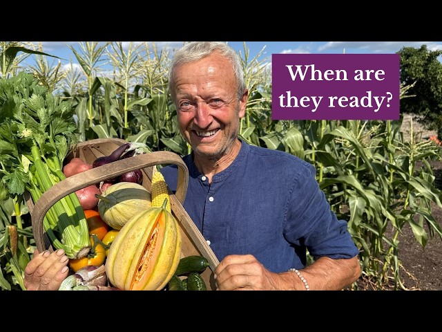 How to Tell When Vegetables Are Ready to Harvest