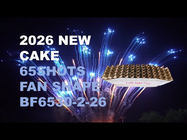 2026 NEW BF6530-2-26 30*36*225MM 65SHOTS FAN SHAPE DISPLAY CAKE