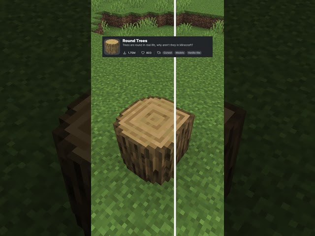 Best Resource Packs to Add to Minecraft Pt. 5 #minecraft #shorts