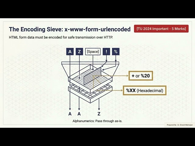 Unit 3  URLS and URIs Explanation Video