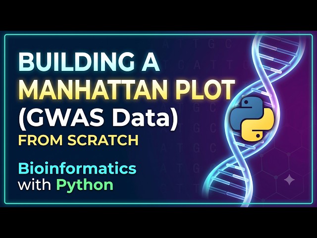 36. Bioinformatics with Python: Building a Manhattan Plot from Scratch (GWAS)
