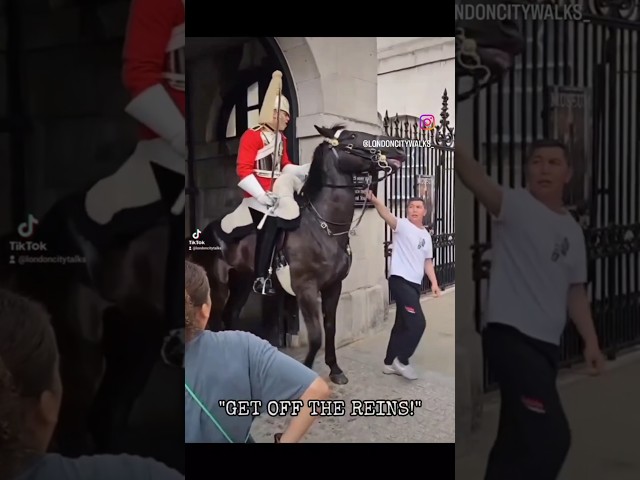 Tourist RUNS when Guard Yells "GET OFF THE REINS!" at Horse Guards!
