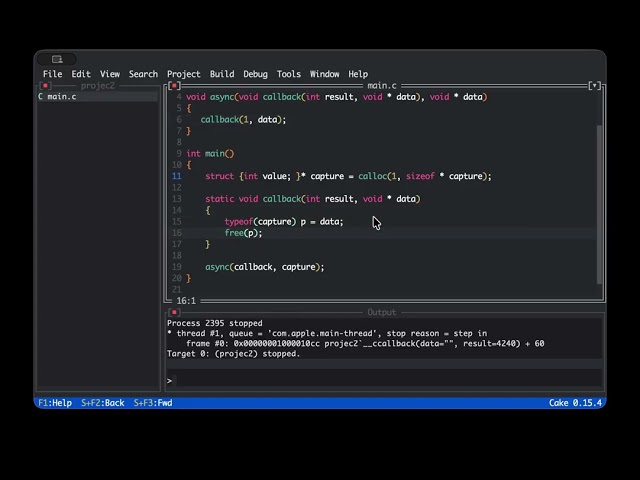 Literal functions debugging
