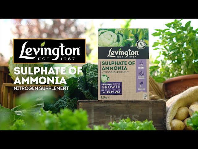 How to Use Levington® Sulphate of Ammonia | Nitrogen Supplement for Fast Green Growth
