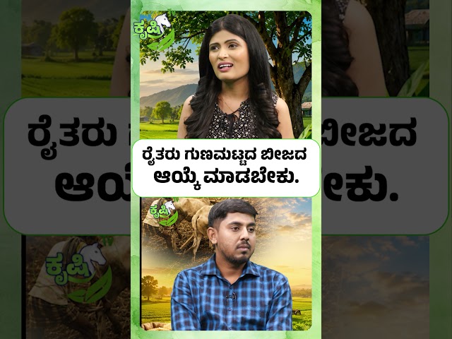 ರೈತರು ಗುಣಮಟ್ಟದ ಬೀಜದ ಆಯ್ಕೆ ಮಾಡಬೇಕು..? Quality Seed Selection Tips