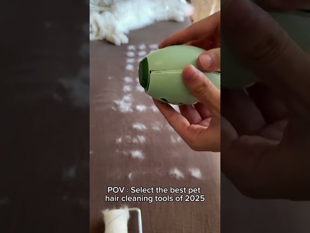 Remove Pet Hair in Seconds with This Magic Glove!