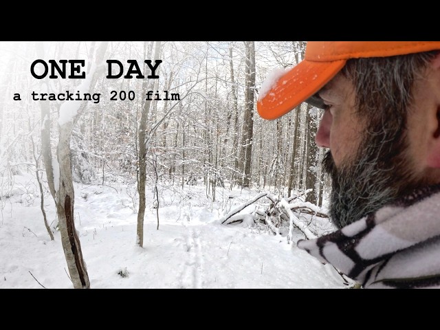 Tracking down an Adirondack Buck on Snow: Inspirational Tracking 200 hunting film #onxhunt