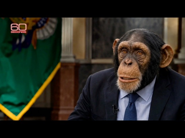 "60 SECONDS" - Fearmongering with Secretary Bessent(SATIRE)
