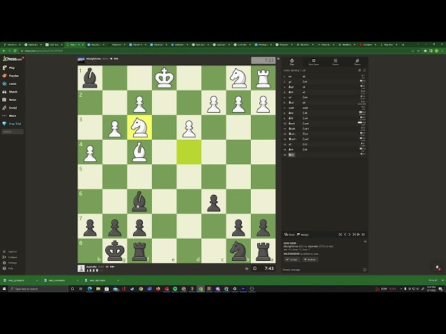 A Chess Match that will be in the history books
