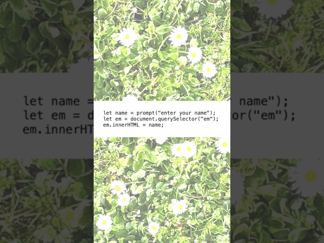 Video 4 - Intro to web development for people with no programming experience!