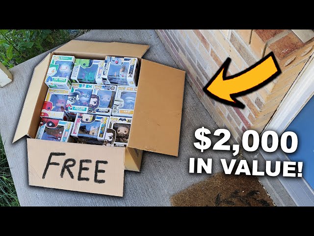 They Gave Away Funko Pop Grails For Free at a Yard Sale