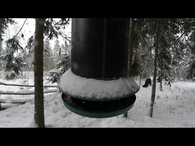 Winter time