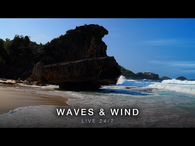 24/7 LIVE · Sea Sounds for Deep Focus · Tropical Paradise · Java · 4K