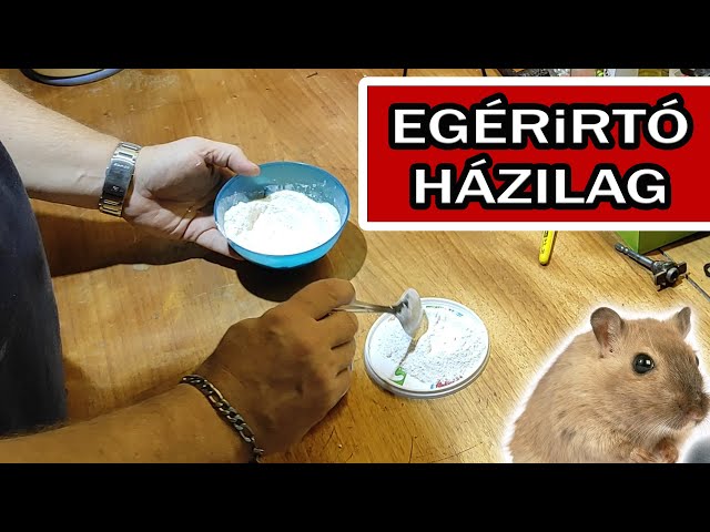 Egérirtó házilag.
