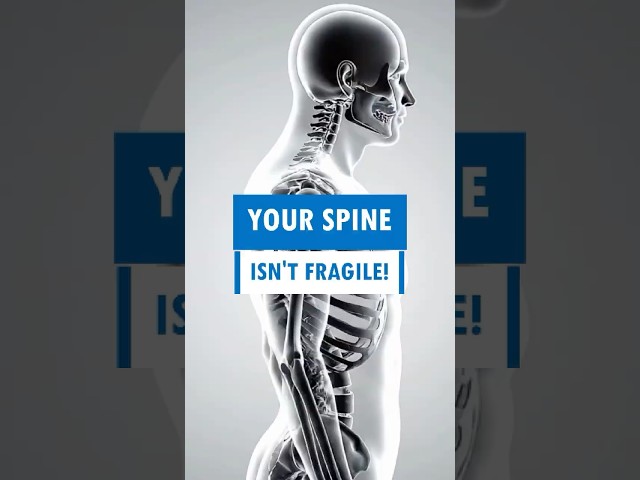 Your Spine Isn't Fragile! #shorts
