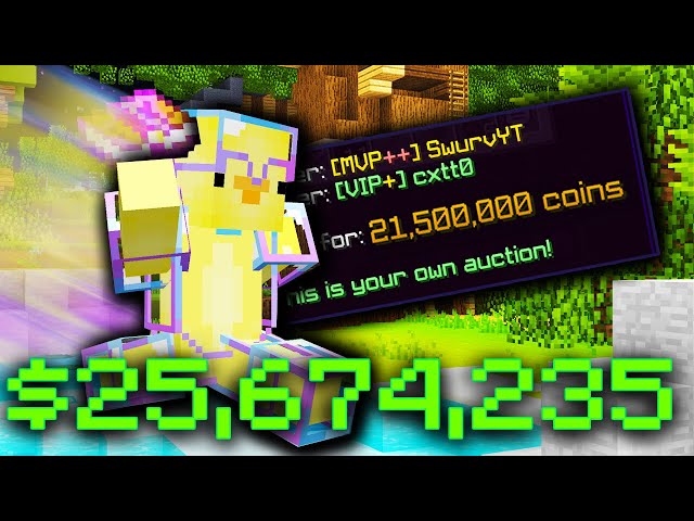 Best END GAME Money Making Method *25 Million Coins Per Hour!* (Hypixel Skyblock)