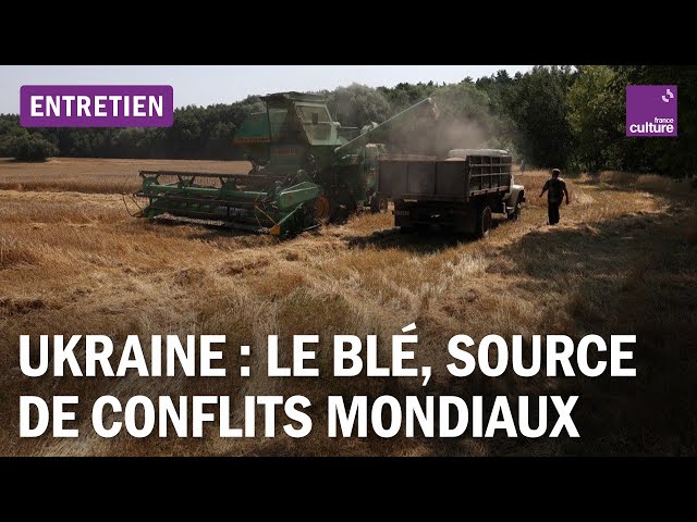 Ukraine : pourquoi le blé déclenche des conflits mondiaux