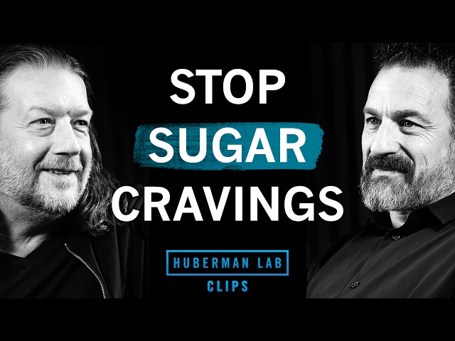 How to Rewire Your Brain to Crave Healthy Food | Dr. Scott Kanoski & Dr. Andrew Huberman