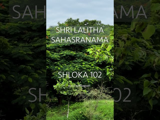 Shri Lalitha Sahasranamam Shloka 102 | मणिपूराब्ज निलया | Meaning & Explanation |Just Sudha Gyan