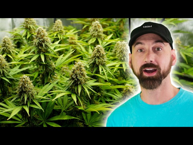 Harvest Day Is Finally Here… Let’s See the Results