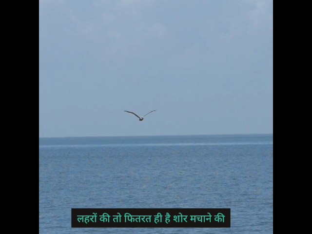 success motivational quotes #motivation #motivationalquotes #ytshorts#shortsfeed