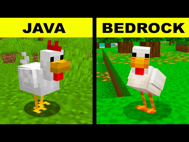 Java Edition Hold My Item Animation VS Bedrock Edition Action & Stuff Animation
