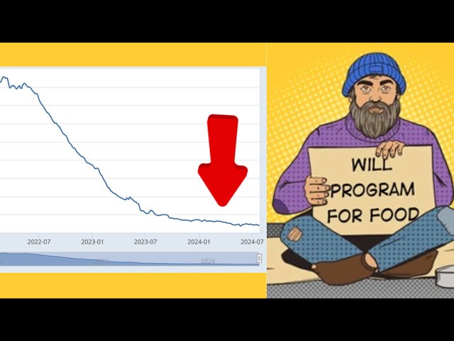 Why it's impossible to get a job as a Software Developer in 2024