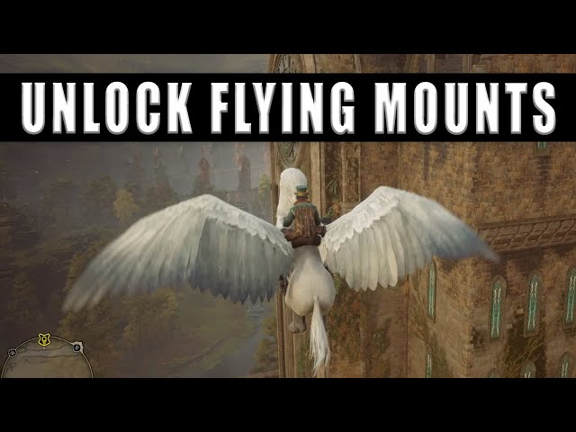 Hogwarts Legacy how to unlock flying mounts - Get a Hippogriff to fly on