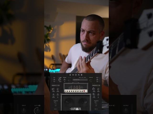 Nolly X Preset Settings That Actually Work