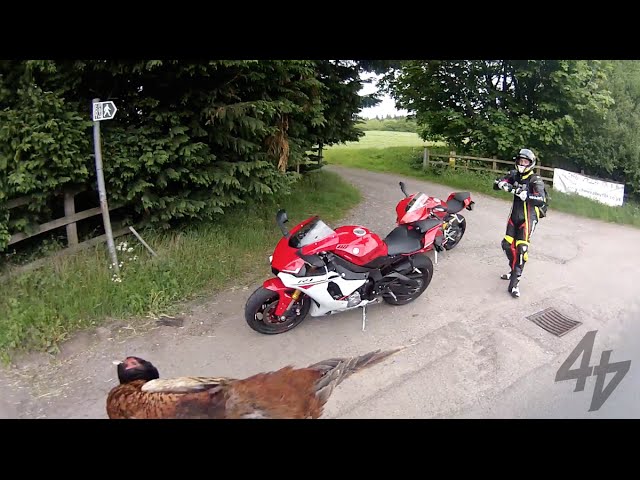Ducati 1299 Panigale v 2015 Yamaha R1